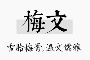 梅文名字的寓意及含义