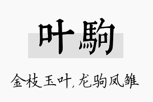 叶驹名字的寓意及含义