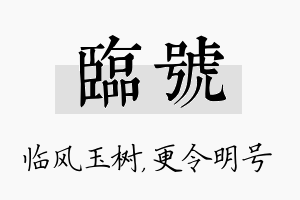 临号名字的寓意及含义