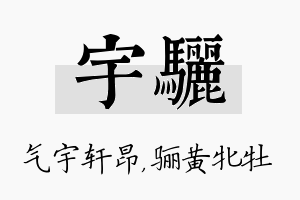 宇骊名字的寓意及含义