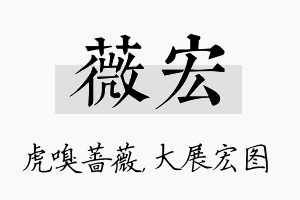 薇宏名字的寓意及含义