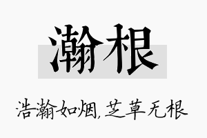 瀚根名字的寓意及含义