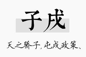 子戌名字的寓意及含义