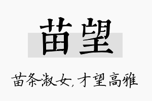 苗望名字的寓意及含义