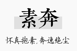 素奔名字的寓意及含义