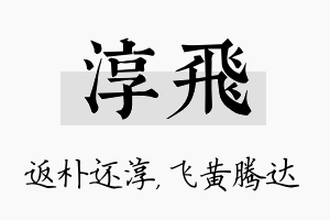 淳飞名字的寓意及含义