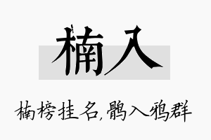 楠入名字的寓意及含义