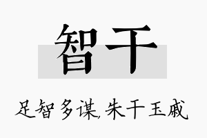 智干名字的寓意及含义