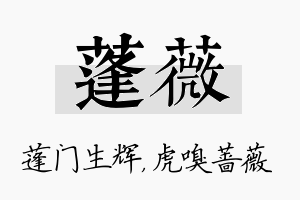 蓬薇名字的寓意及含义