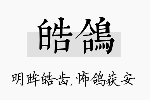 皓鸽名字的寓意及含义