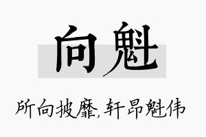 向魁名字的寓意及含义