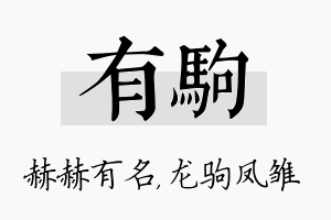 有驹名字的寓意及含义