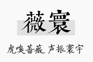 薇寰名字的寓意及含义