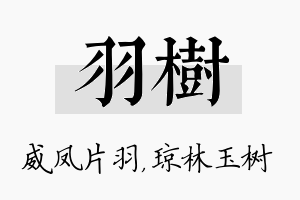 羽树名字的寓意及含义