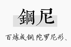 钢尼名字的寓意及含义