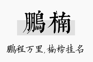 鹏楠名字的寓意及含义