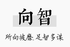 向智名字的寓意及含义