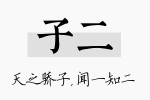 子二名字的寓意及含义