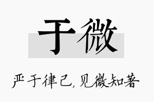 于微名字的寓意及含义