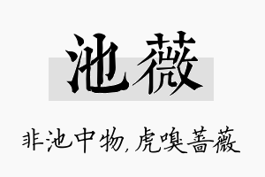 池薇名字的寓意及含义