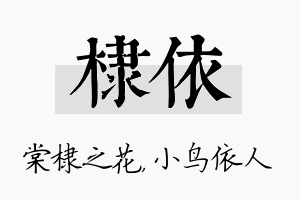 棣依名字的寓意及含义