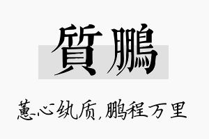 质鹏名字的寓意及含义