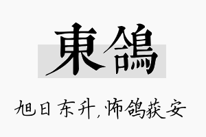 东鸽名字的寓意及含义