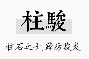 柱骏名字的寓意及含义