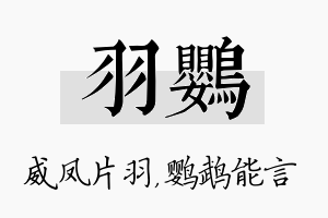 羽鹦名字的寓意及含义