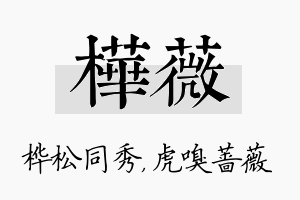 桦薇名字的寓意及含义