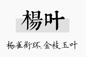 杨叶名字的寓意及含义