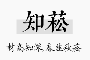 知菘名字的寓意及含义