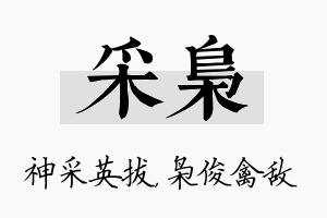 采枭名字的寓意及含义