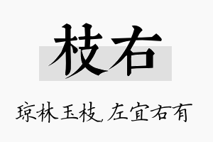 枝右名字的寓意及含义