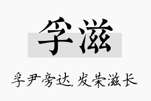 孚滋名字的寓意及含义