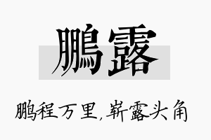 鹏露名字的寓意及含义