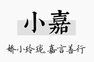 小嘉名字的寓意及含义