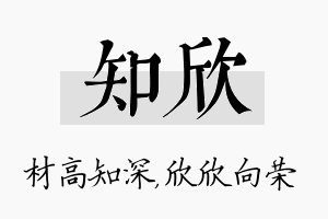 知欣名字的寓意及含义