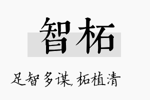 智柘名字的寓意及含义