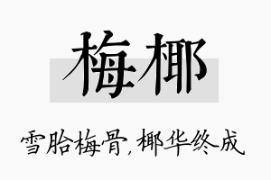 梅椰名字的寓意及含义