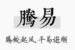 腾易名字的寓意及含义