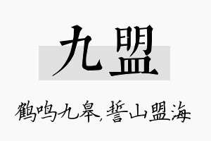 九盟名字的寓意及含义