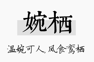 婉栖名字的寓意及含义