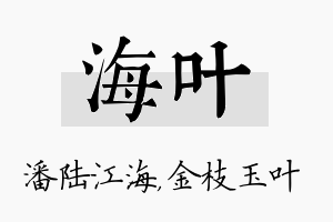 海叶名字的寓意及含义