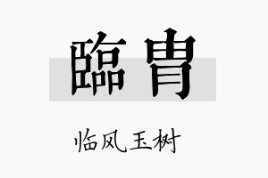 临胄名字的寓意及含义