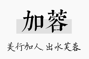 加蓉名字的寓意及含义