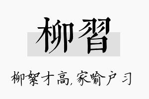 柳习名字的寓意及含义