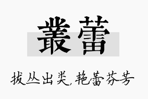 丛蕾名字的寓意及含义