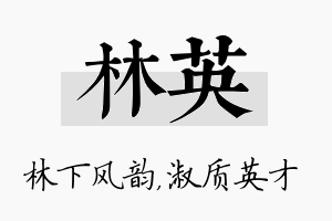 林英名字的寓意及含义