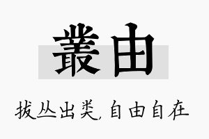 丛由名字的寓意及含义